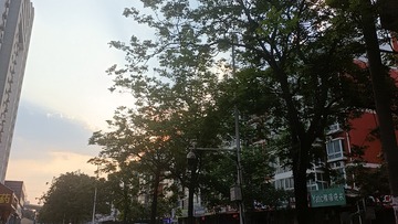1000035147