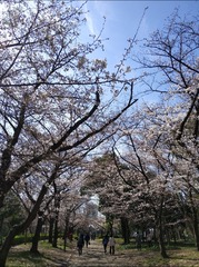 820CB2D5-EF5B-4355-97C1-F96CCFA4E7D6/L0/001