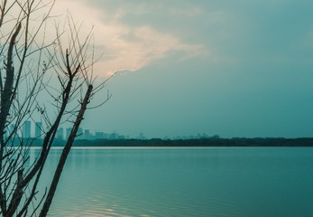 356355