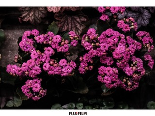 1F552DFB-6B7E-440D-837C-DB740801EC93/L0/001