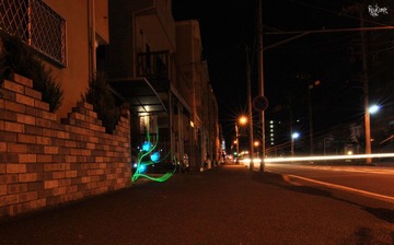 DSC_0027.JPG