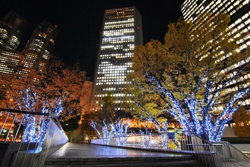DSC_0096.JPG