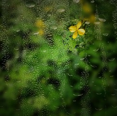 10074