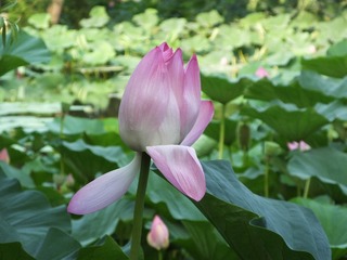 130628