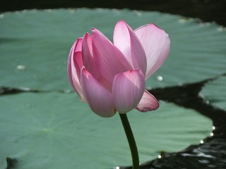 130696