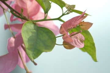 3759E18B-97CE-4606-B137-BCD3BCE54DF1/L0/001