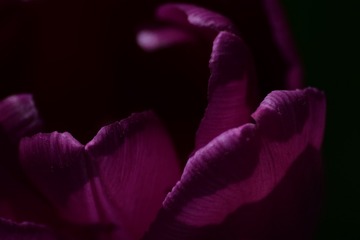 092A7F16-7364-4C73-BAC7-40C2D9D4731B/L0/001
