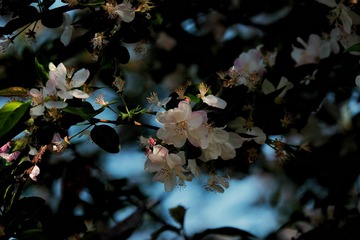 0A432DBF-3FF6-43BE-8301-5CA902B776A9/L0/001