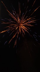 1000087176