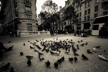 20120925-IMG_2525.jpg