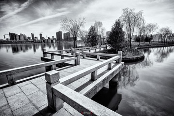 DSC_1043.jpg