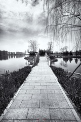 DSC_1048.jpg