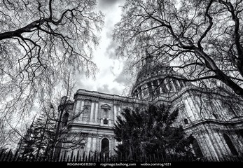 DSC_1225.jpg
