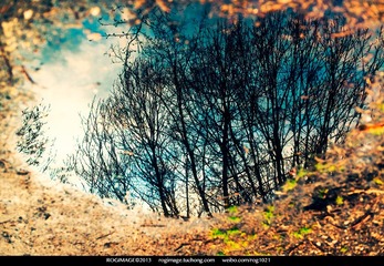 NATURAL MIRROR