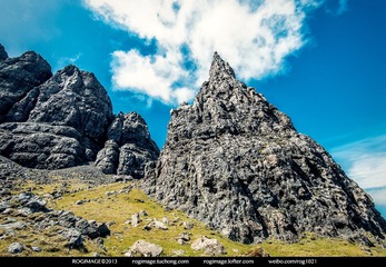 DSC_3977.jpg