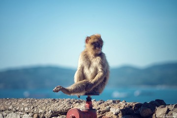 DSC_0153 拷贝