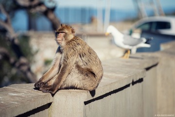 DSC_0211 拷贝