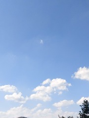 974009