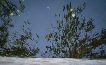 1000015533