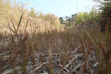 IMG_3720.JPG
