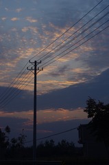 IMG_8281