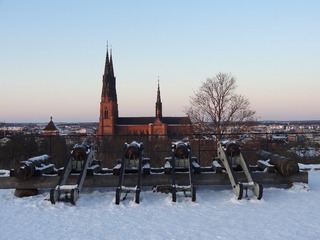 2012-01-29 15