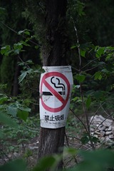 77605332-E41A-4E7A-9209-D1D77430F4BA/L0/001