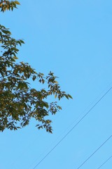 8C1EB36F-79E9-474A-B230-73D10B766BA6/L0/001