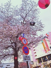 6A06BE16-A03D-4B0B-97A6-2A8B0326FB51/L0/001