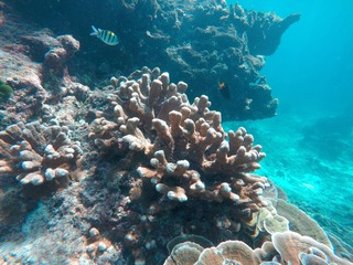 4C76C7BD-FA14-4728-BEE6-1B73D487ACD1/L0/001