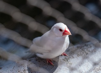 53725