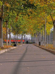 DA8423A1-CB07-4A20-9B8B-B3F7AD665D3C/L0/001