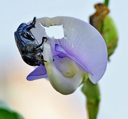 DSC_0043.jpg