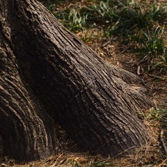 P3190584