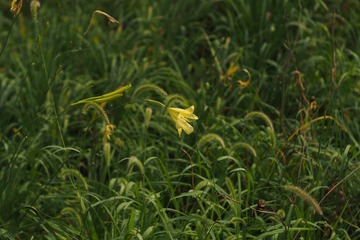 P8171300