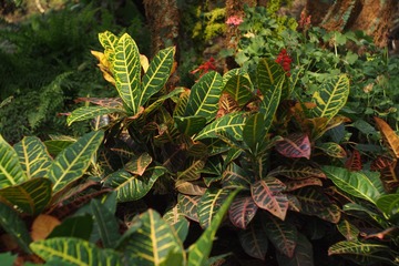 P8171290
