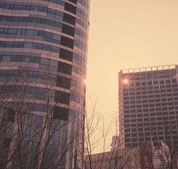 “DSC_4549”为智能对象-2