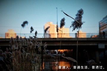 456EB7E7-17CE-45C0-8674-500EAB55B002/L0/001