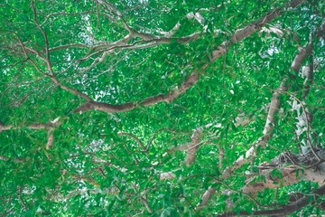 81F06018-D20F-480F-B83C-D94CE0A9D38C/L0/001