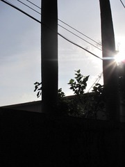 1000123079