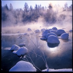 120-IMG11399.JPG