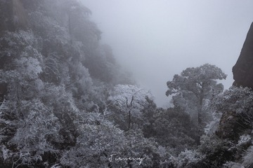 720DFFF6-B302-439D-9777-6EA366603A49/L0/001