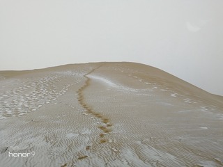 162031