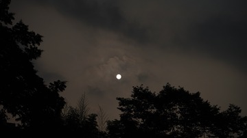 122872