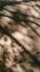 IMG_20140101_204008