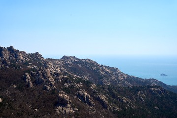 DSC02954
