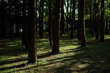 FCCA9C4F-5D5B-43D1-8738-CE4F0E8E19F9/L0/001
