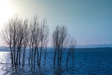 689322