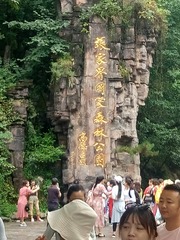 1086806
