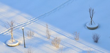 997814